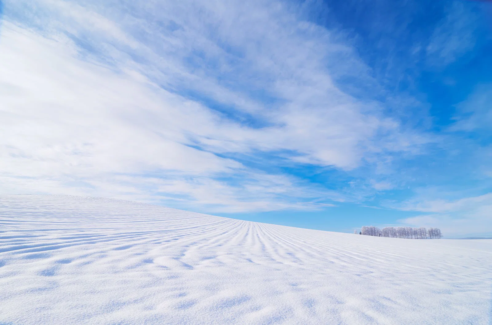雪に覆われた平原