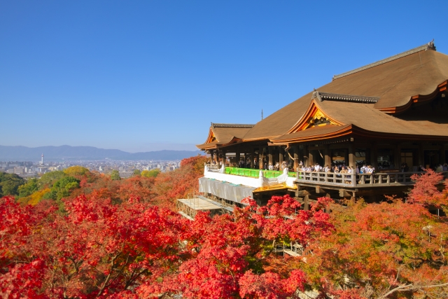 屋外で過ごす家族